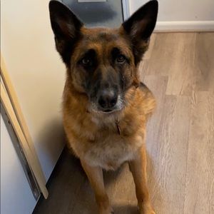 Meet your Posher, Catherine